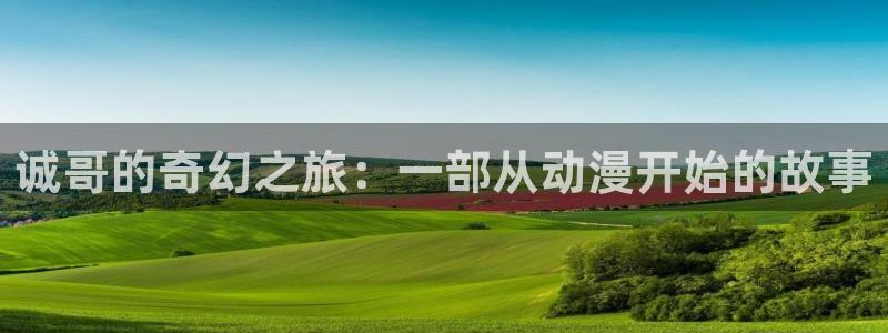 178动漫之家：诚哥的奇幻之旅：一部从动漫开始的故事