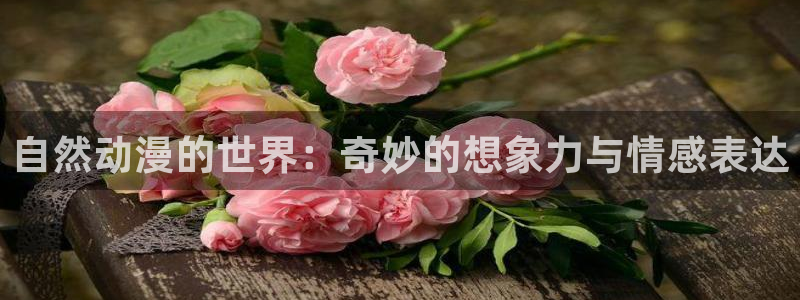 78动漫免费观看：自然动漫的世界：奇妙的想象力与情感表达