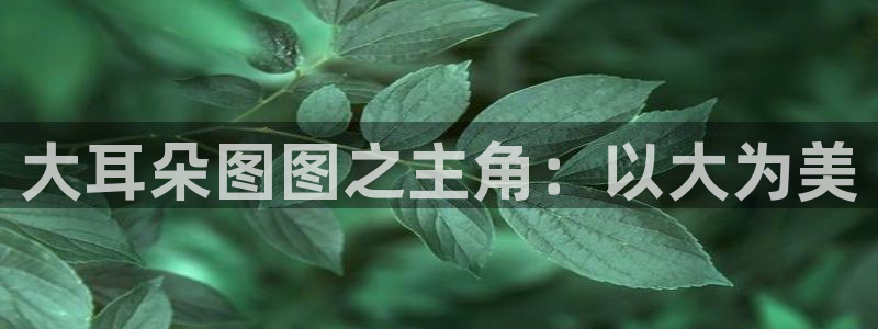 78动漫最新版本：大耳朵图图之主角：以大为美